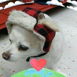 Meet your Posher, Peggy